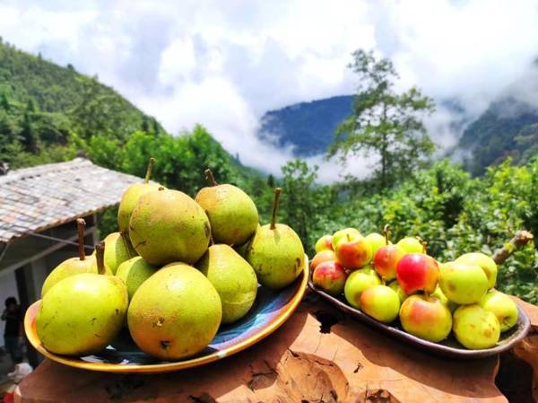 Núi Hoa Homestay