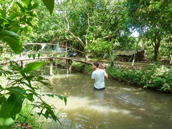 Mekong Family Nam Giang Homestay