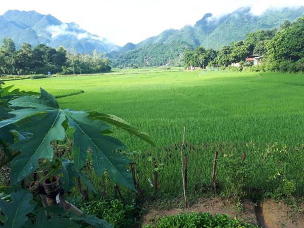 Meadow Mai Chau Homestay