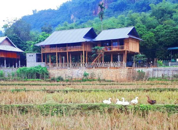 Meadow Mai Chau Homestay