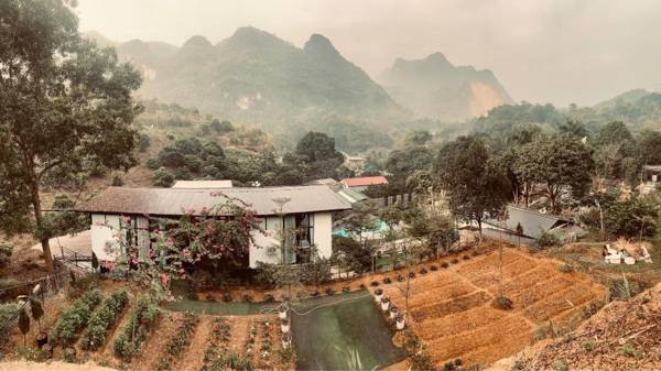 An Nhiên Retreat 1