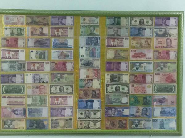 Cat Ba Central Homestay