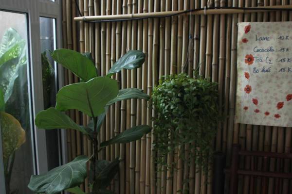 Chicken's house- Đường Lâm Homestay