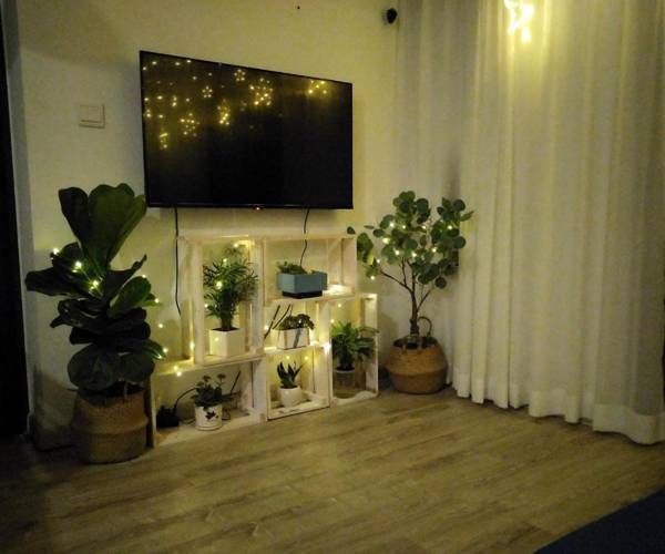 Dhouse Aqua lake 2pn Ecopark