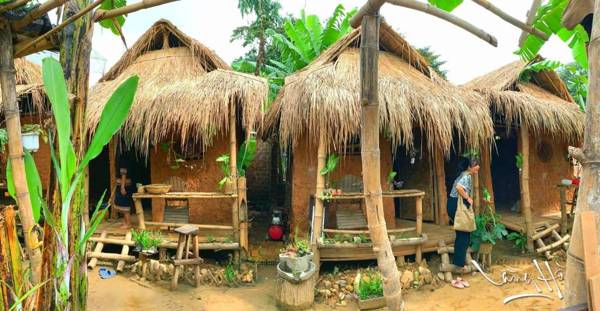 Lang Ho Homestay - Coffee