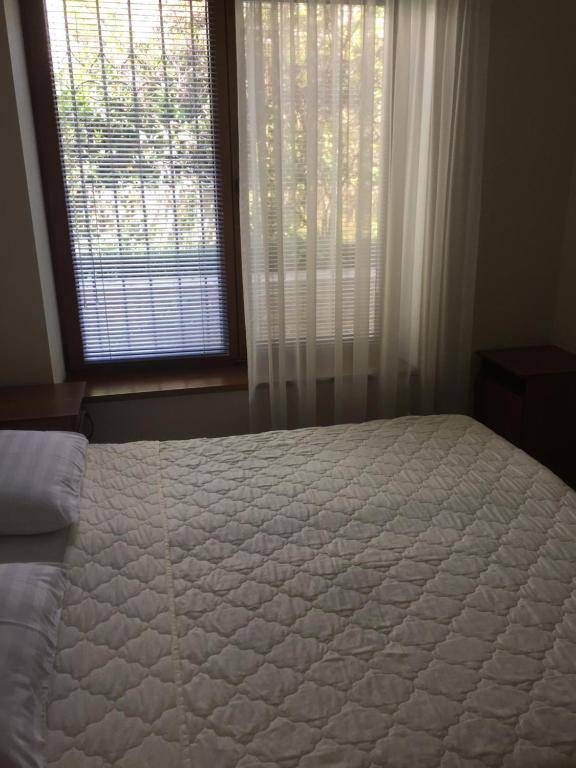 Svetlana Guest House