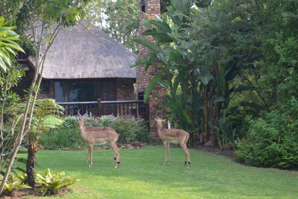 Kruger Park Lodge - Golf Safari SA