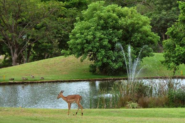 Kruger Park Lodge Unit No. 608A