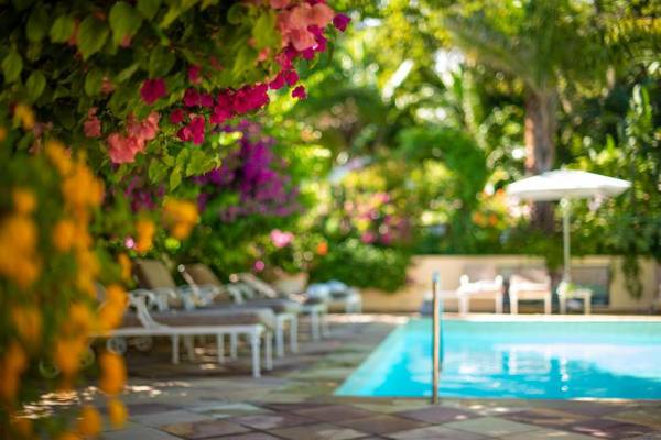 Last Word Constantia