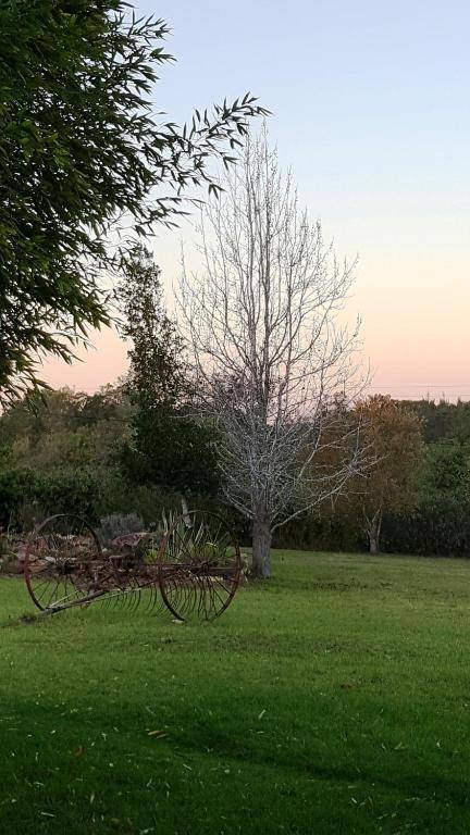 Bella Manga Country Escape