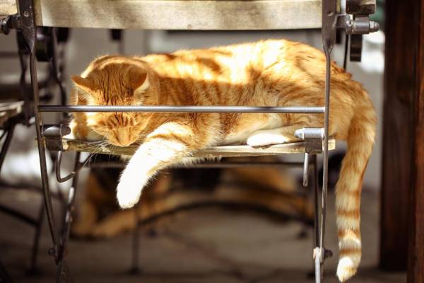 Jacaranda Wine And Guestfarm