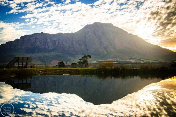 Reflections Guest Farm