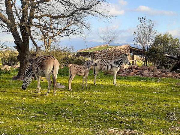Welbedacht Game & Nature Reserve