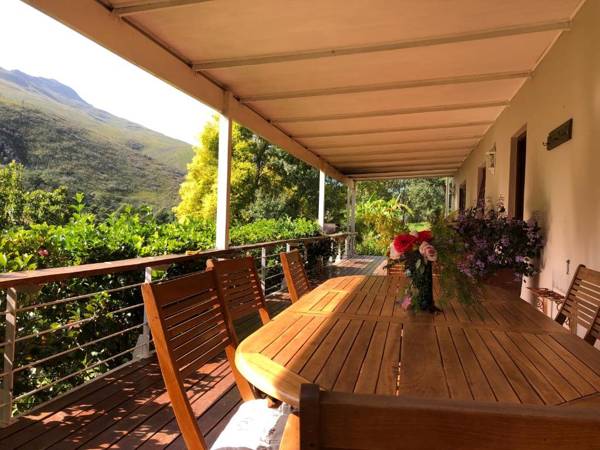 Frog Mountain Getaway