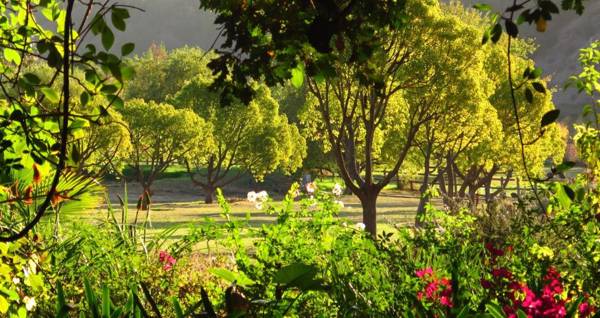 Muratie GP Canitz Cottage