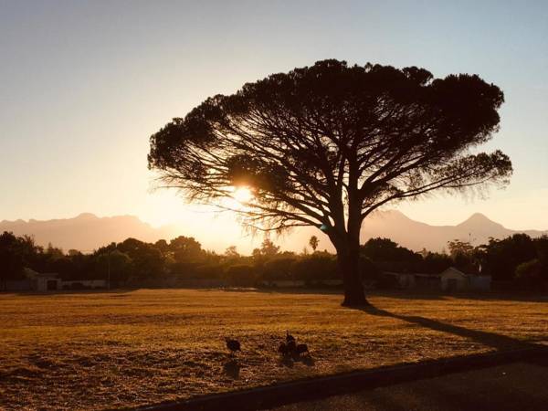 Khashamongo Guesthouse