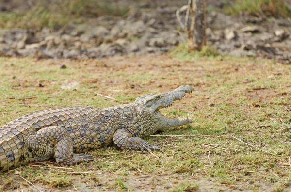 First Group Lake View Cabanas