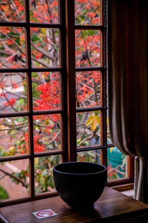 Terra Casa Guesthouse