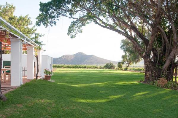 Green Olive Guesthouse