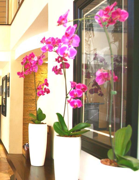 Premier Hotel Pretoria