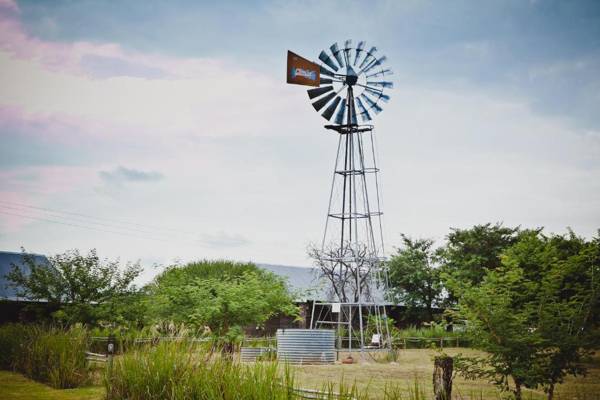 Grincourt Nature Reserve