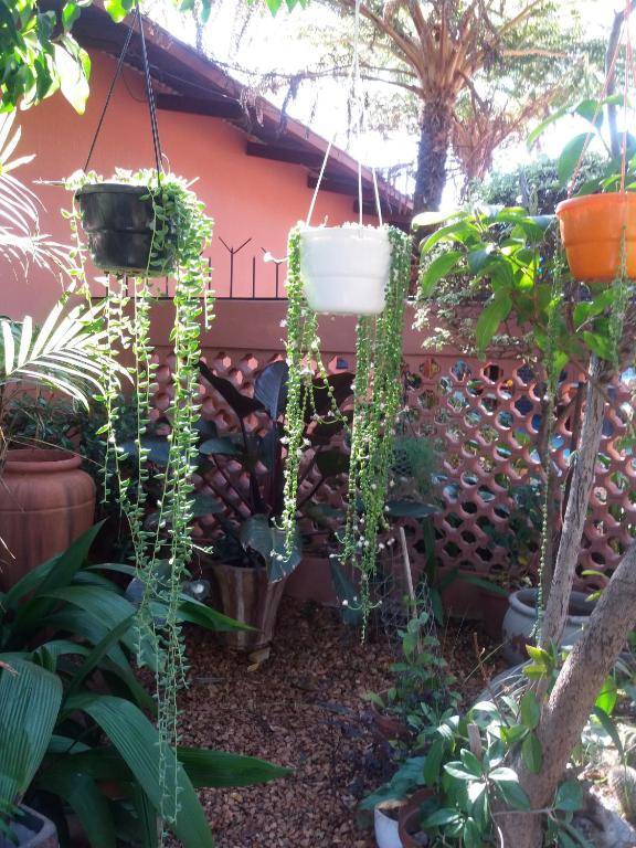 Reggies bed & breakfast