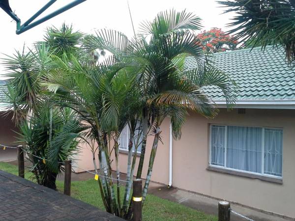 Spring Acres Guesthouse