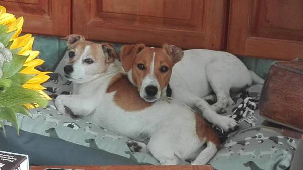 Admiralty Bed & Breakfast