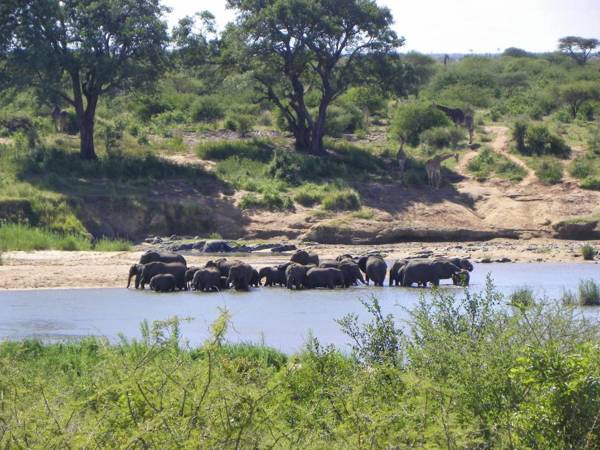 Pestana Kruger Lodge