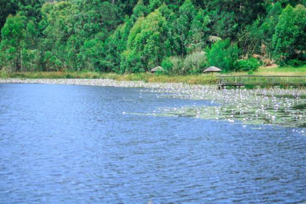 Harnham Mountain Lodge