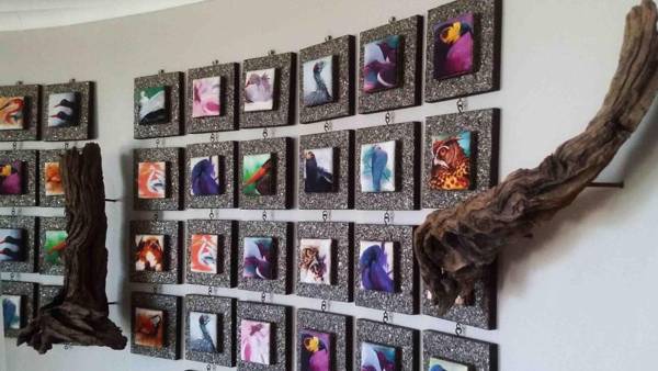 Crystal Lagoon Lodge