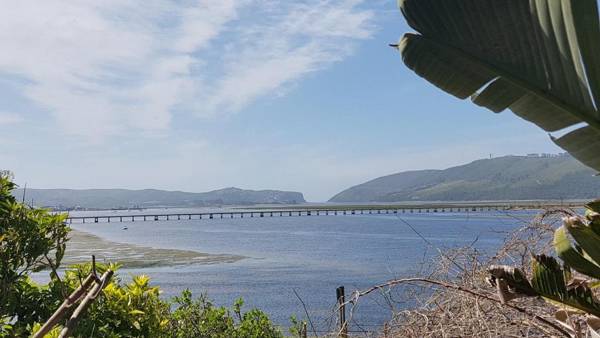 Phoenix Lodge and Waterside Accommodation