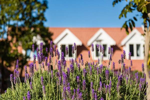 6 On Protea Guesthouse