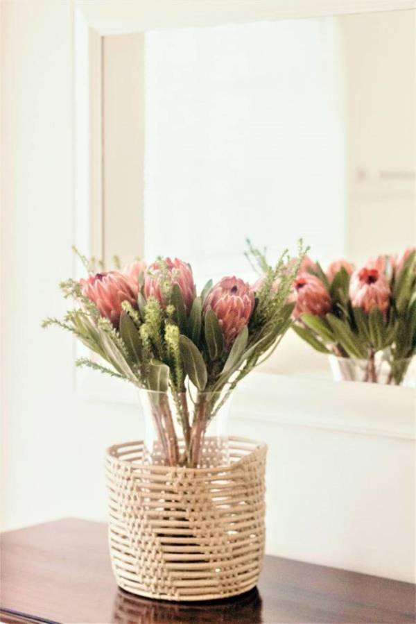 Lovemore Lodges Knysna