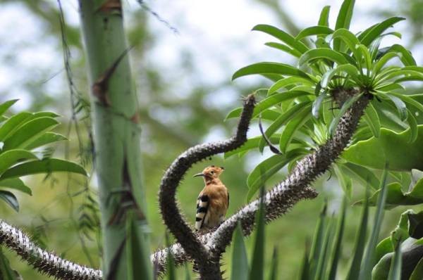 A Knights Rest Guesthouse