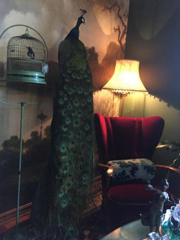 Festina Lente Guesthouse