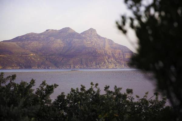 The Beach House Guest House