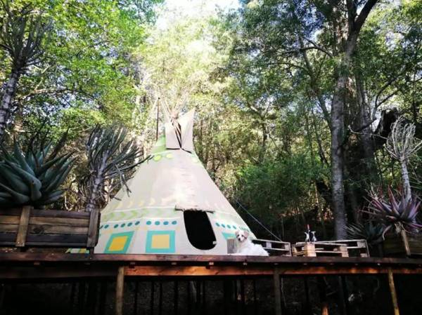 Magical Teepee Experience (The)