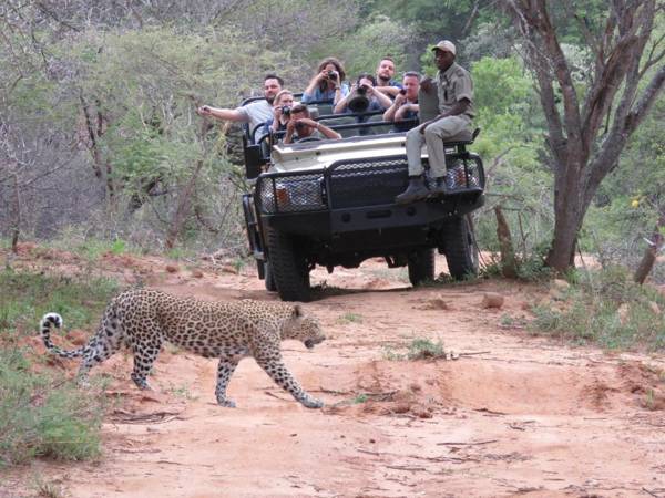 Kapama Buffalo Camp