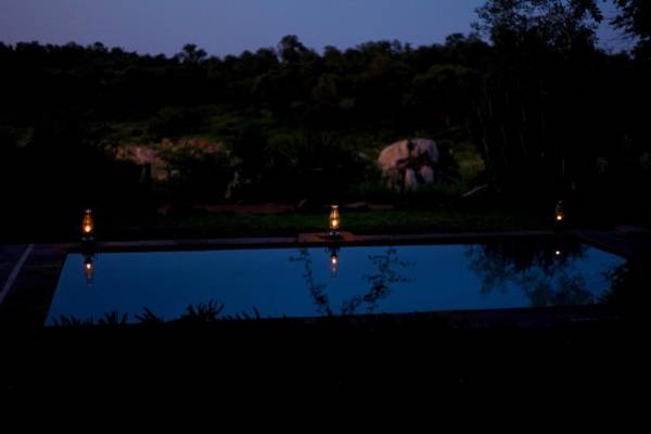 Ivory Wilderness River Rock Lodge