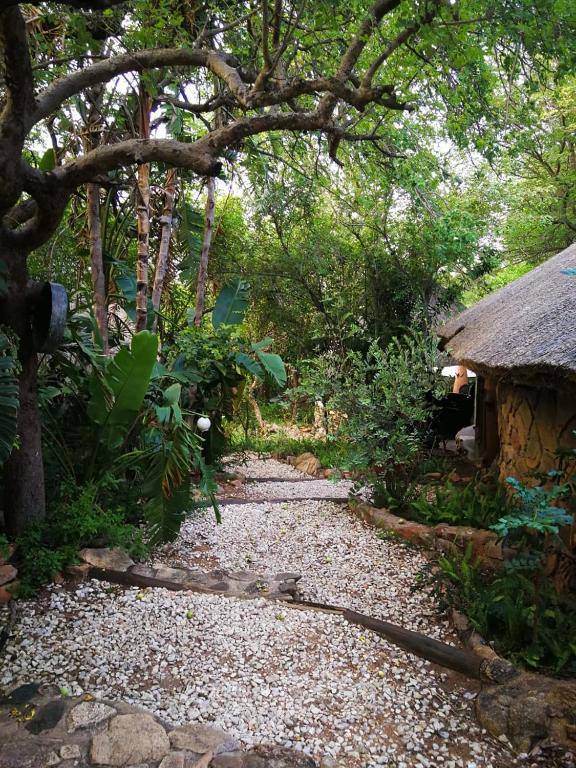 Mali Mali Safari Lodge