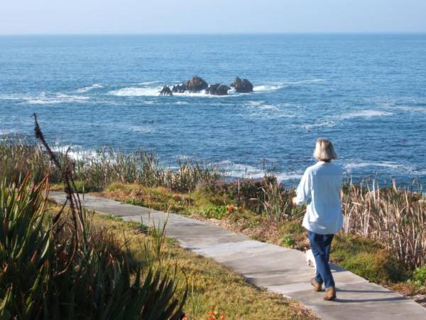 Smuts Ave. Guest Rooms