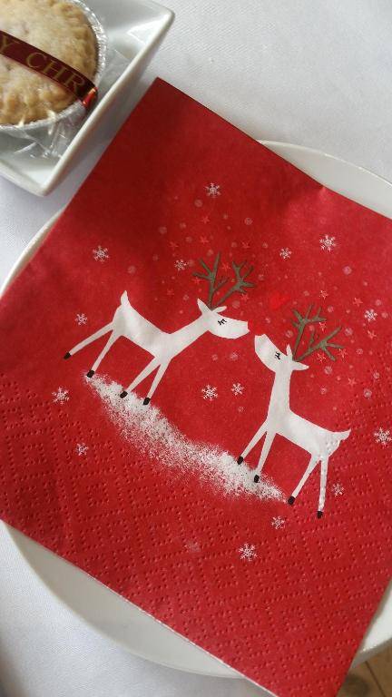 Two Fat Owls Guesthouse