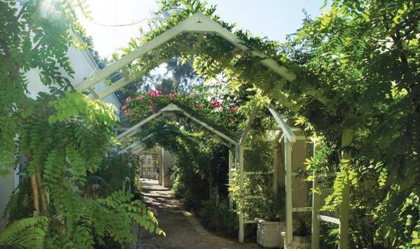 Last Word Franschhoek