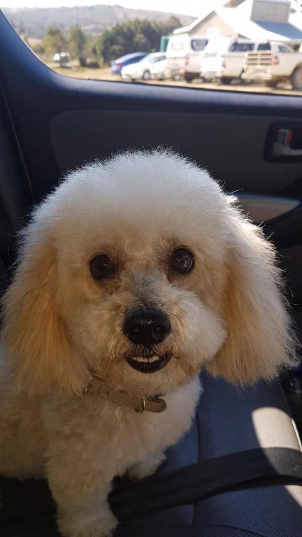 Riverview Guesthouse East London