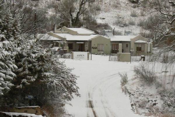 Aspen Guest House