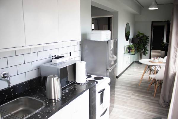 Modern Penthouse apartment 11.1