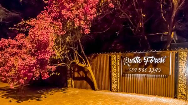 Rustic Forest Guest House