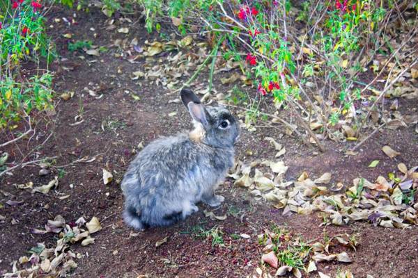 Fuhri Road Apartments Madison House