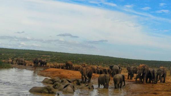 Chrislin African Lodge